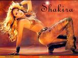 Shakira 1024*768